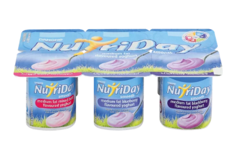 Nutriday Smooth Dairy Snack Berry Medley- 6.0'S - Case 8